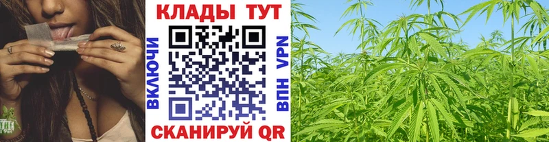 Где купить Карачаевск A-PVP  Меф мяу мяу  КОКАИН 