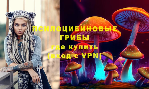 ALPHA PVP Бородино
