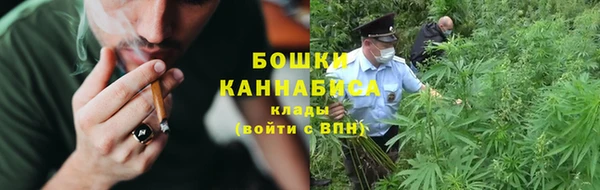 гашик Бронницы