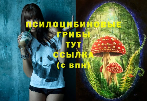 ALPHA PVP Бородино