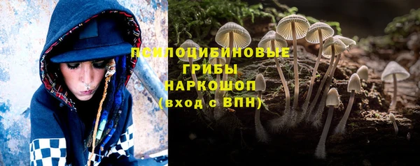 ALPHA PVP Бородино