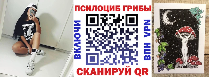 Галлюциногенные грибы Psilocybe  Карачаевск 